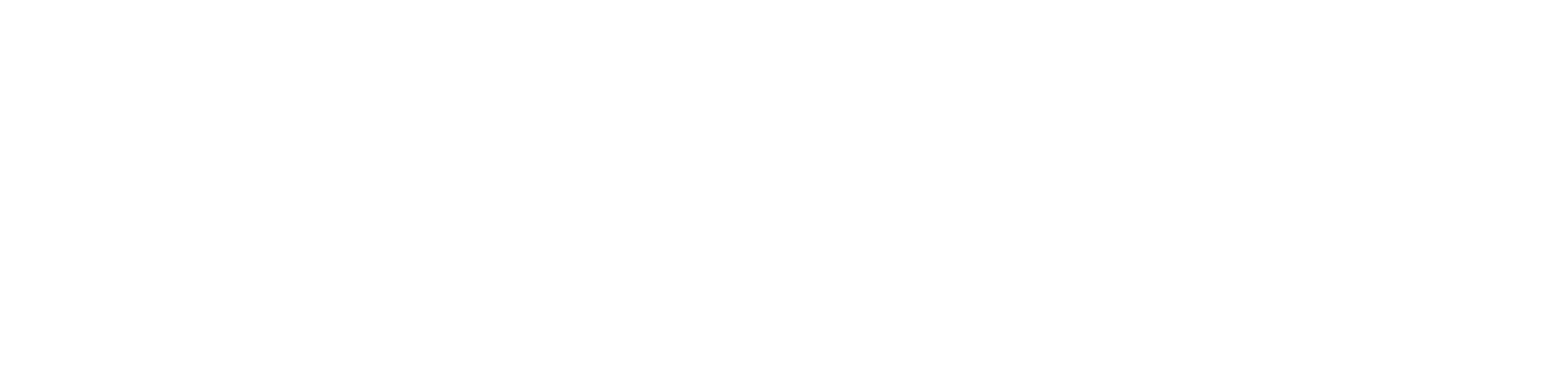 Logo Void